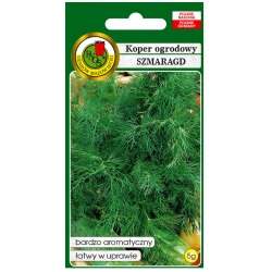 nasiona Koper ogrodowy Szmaragd pnos151