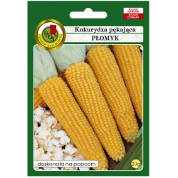 nasiona Kukurydza pękająca Płomyk pnos155