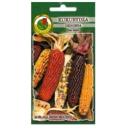 nasiona Kukurydza ozdobna Zea mays pnos154