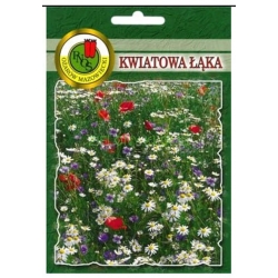 Nasiona Kwiatowa łąka pnos758