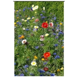 Nasiona Kwiatowa łąka pnos758