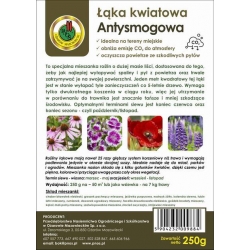 Nasiona Łąka Antysmogowa 250g pnos952