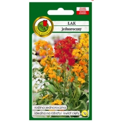 Nasiona Lak jednoroczny mieszany pnos760