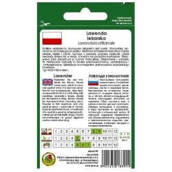 Nasiona Lawenda lekarska pnos541