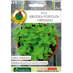 Nasiona Lebiodka pospolita oregano pnos520