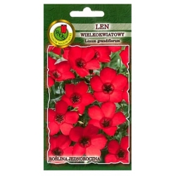 Nasiona Len wielkokwiat czerwony pnos762