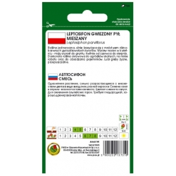 Nasiona Leptosifon Gwiezdny Pył pnos763