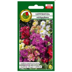Nasiona Lewkonia wielopędowa mix pnos784