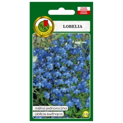 Nasiona Lobelia stroiczka niebieska pnos787