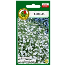 Nasiona Lobelia stroiczka biała pnos788