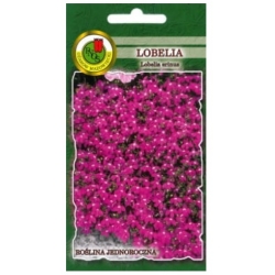 Nasiona Lobelia stroiczka Rosamunda pnos790