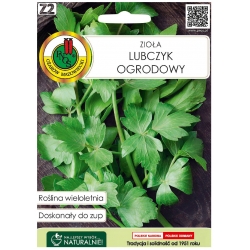 Nasiona Lubczyk ogrodowy pnos543