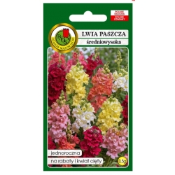 Nasiona Lwia paszcza wyżlin mix pnos793