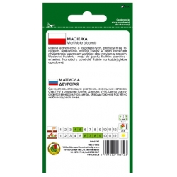 Nasiona Maciejka lewkonia pnos797