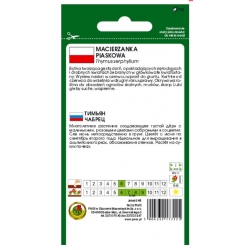 Nasiona Macierzanka piaskowa pnos798