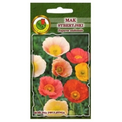 Nasiona Mak syberyjski mieszany pnos800