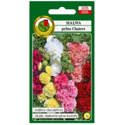 Nasiona Malwa Chaters pnos802