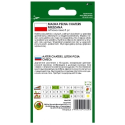 Nasiona Malwa Chaters pnos802