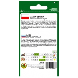 Nasiona Malwa czarna pnos803