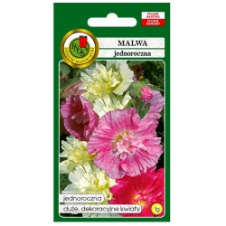 Nasiona Malwa jednoroczna pnos804