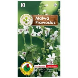 Nasiona Malwa prawoślaz pnos545