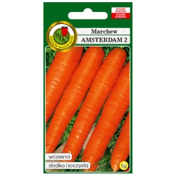 nasiona Marchew jadalna Amsterdam pnos157