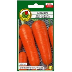 nasiona Marchew jadalna Berlikumer pnos158