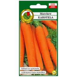 nasiona Marchew jadalna Karotela pnos163