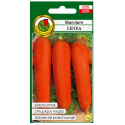 nasiona Marchew jadalna Lenka pnos165