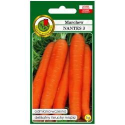 nasiona Marchew jadalna Nantes pnos166