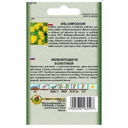 Nasiona Melampodium żółte pnos805