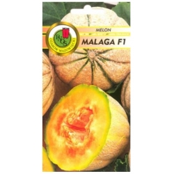 nasiona Melon Malaga pnos174
