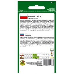 Nasiona Miesięcznica miesiącznica pnos807