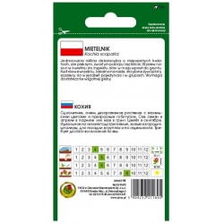 Nasiona Mietelnik żakula pnos809