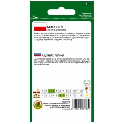 Nasiona Miłek letni czerwony pnos811