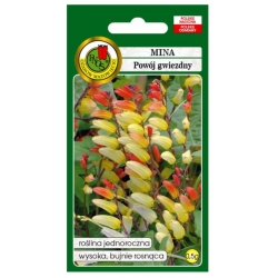 Nasiona Mina wilec powój gwiezdny pnos812