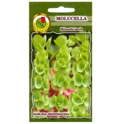 Nasiona Molucella dzwonki irlandzkie pnos813
