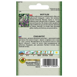 Nasiona Motylek schizantus pnos815