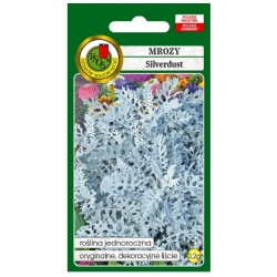 Nasiona Mrozy starzec Silverdust pnos816