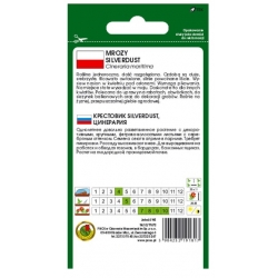 Nasiona Mrozy starzec Silverdust pnos816