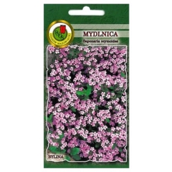 Nasiona Mydlnica różowa pnos817
