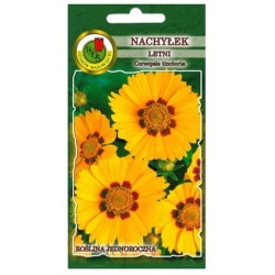 Nasiona Nachyłek letni mix pnos818