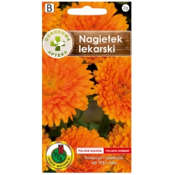 Nasiona Nagietek lekarski pnos568