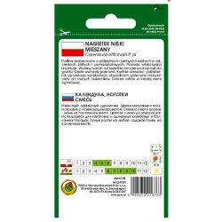 Nasiona Nagietek niski pnos821