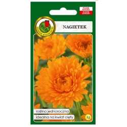 Nasiona Nagietek pomarańczowy pnos820