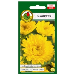Nasiona Nagietek żółty pnos822