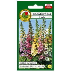 Nasiona Naparstnica Gloxiniaeflora pnos823