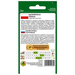 Nasiona Naparstnica Gloxiniaeflora pnos823