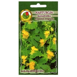 Nasiona Nasturcja kanaryjska żółta pnos824