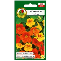 Nasiona Nasturcja karłowa mieszana pnos825